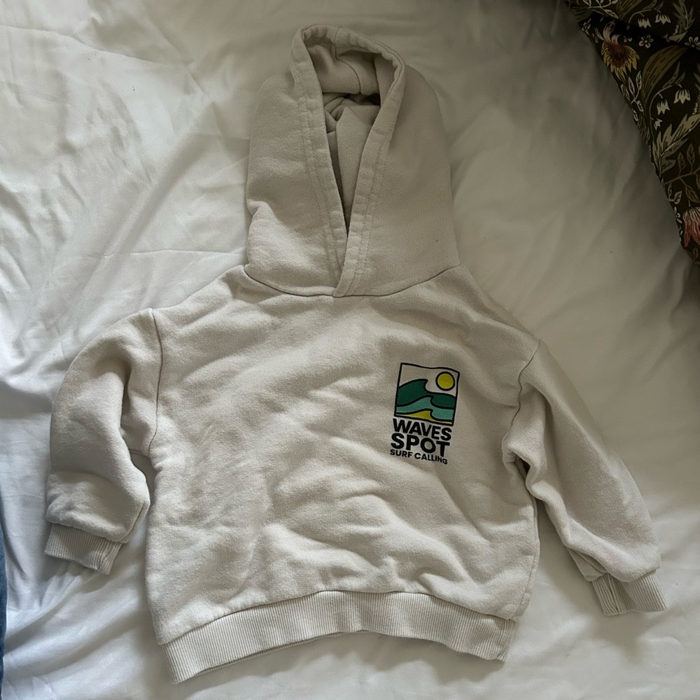 Boys Zara Hoodie